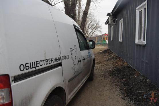 Крематорий для сжигания трупов животных украл из приюта сотрудник учреждения в Павлодаре